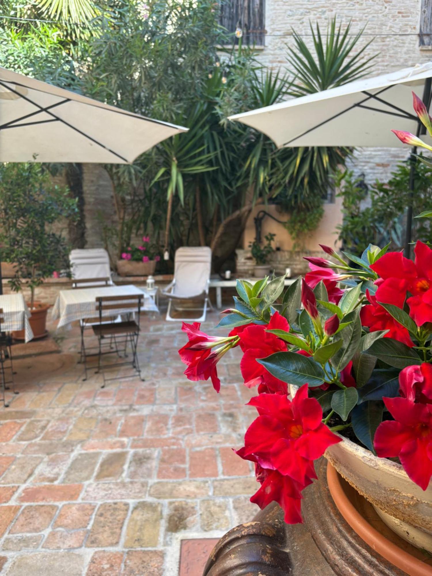 Relais B&B Corte Dei Turchi Longiano Luaran gambar